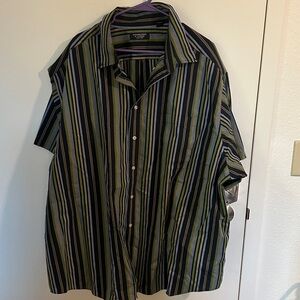 Roundtree & Yorke Multicolor Striped Shirt